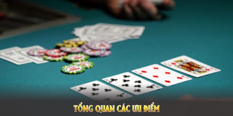 Điểm qua lịch sử của Venus Casino và những thành tựu ấn tượng